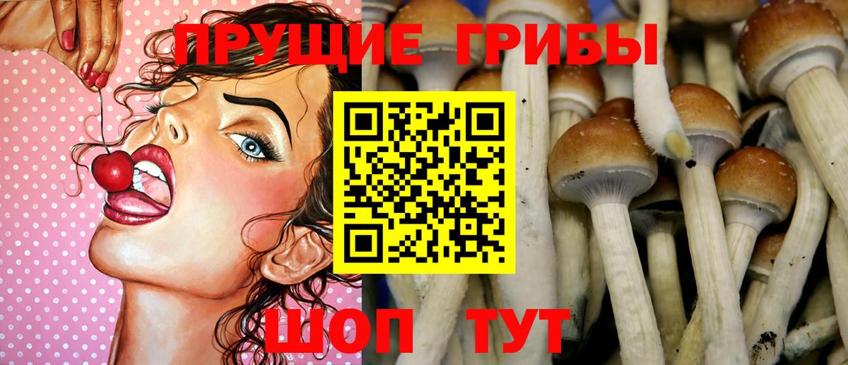 Галлюциногенные грибы MAGIC MUSHROOMS  Вход с VPN  Галлюциногенные грибы прущие грибы  Волжский 