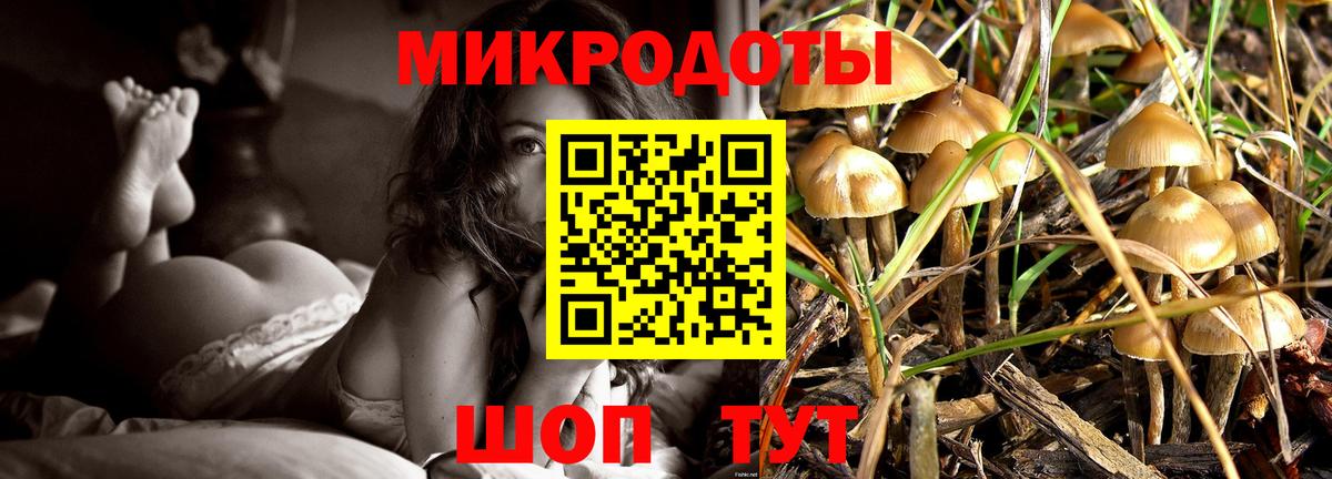 Псилоцибиновые грибы мицелий Волжский